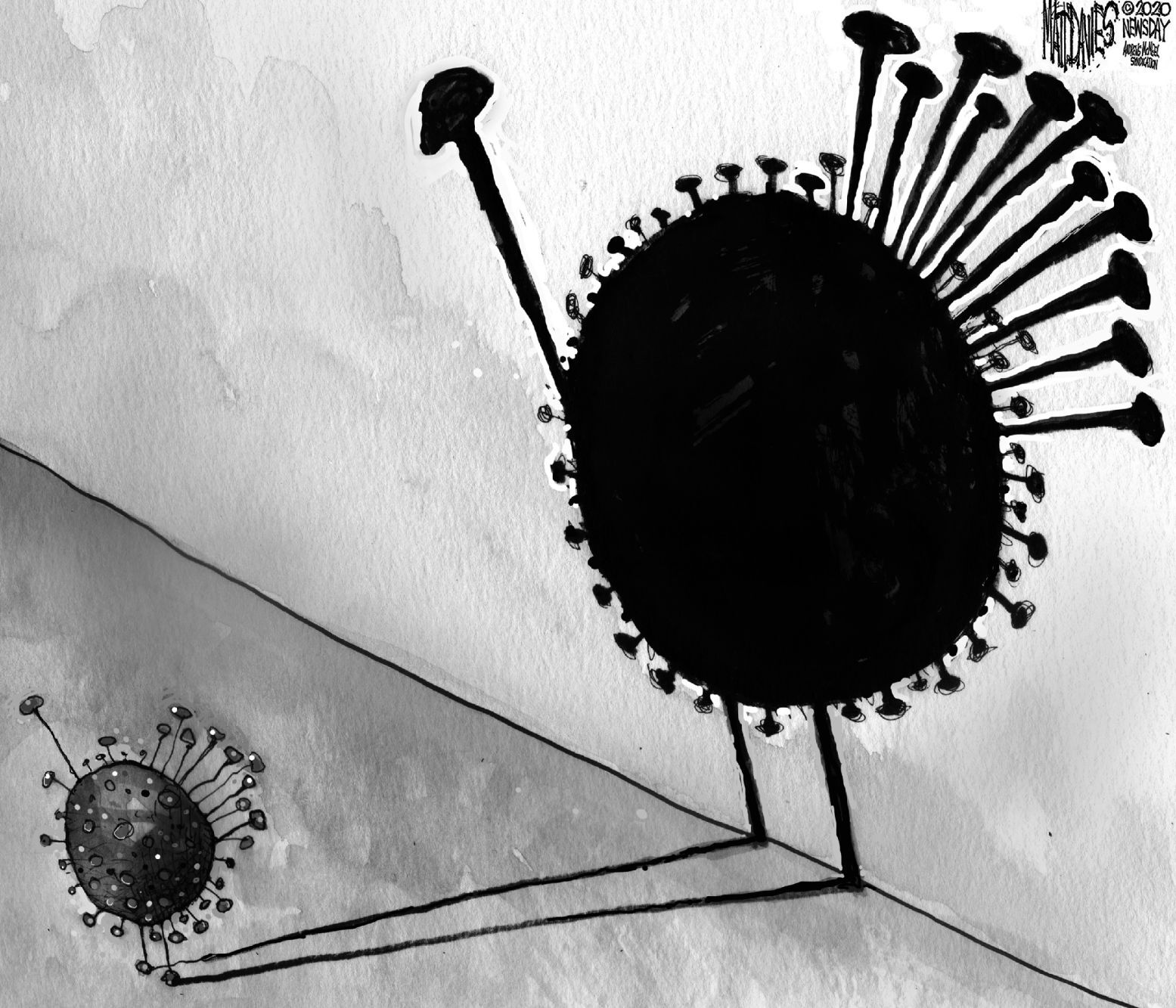 Editorial Cartoon: Turkey